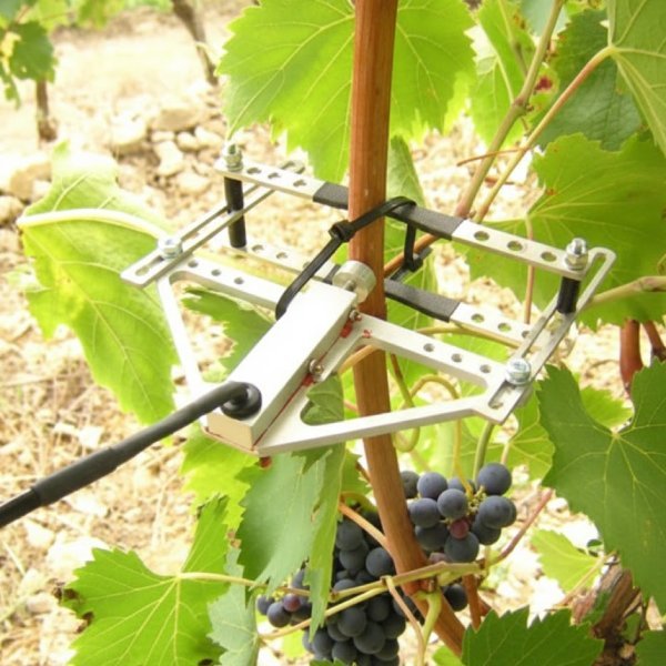 Il Sogno di una vita - innovazione e sensori tech