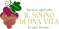 Il sogno di una vita Logo