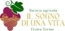 Il sogno di una vita Logo
